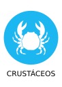 delivery image