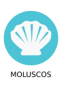 delivery image